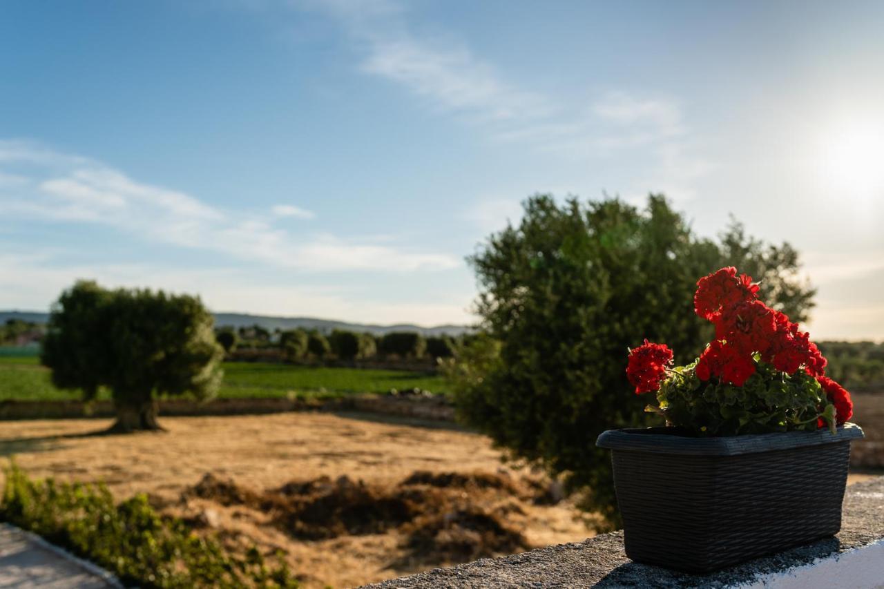 Il Pergolato Sul Mare Villa Monopoli Eksteriør billede